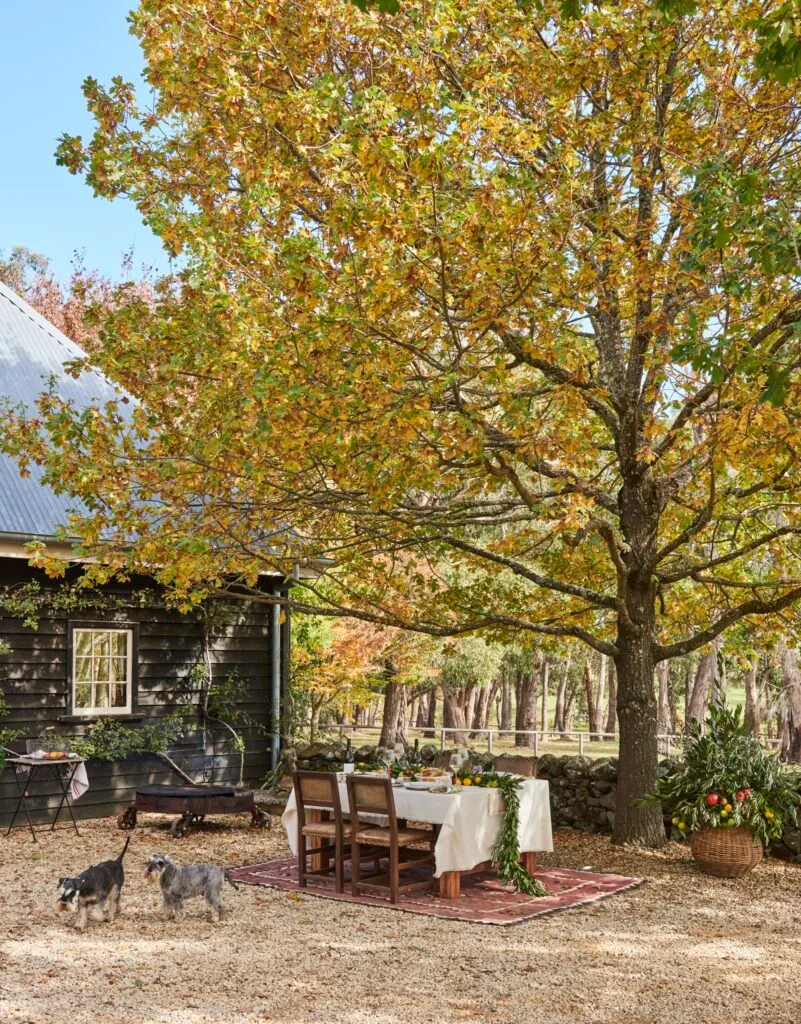 A timber cottage and outdoor tablescape beneath autumn trees.