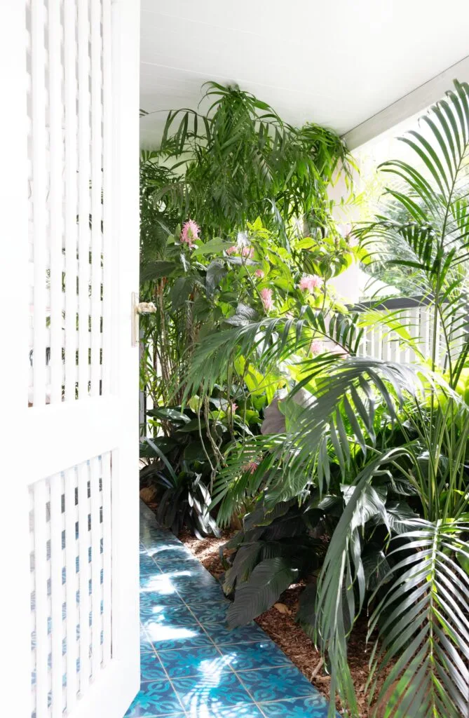 Tropical plants cascading over an entry walkway.