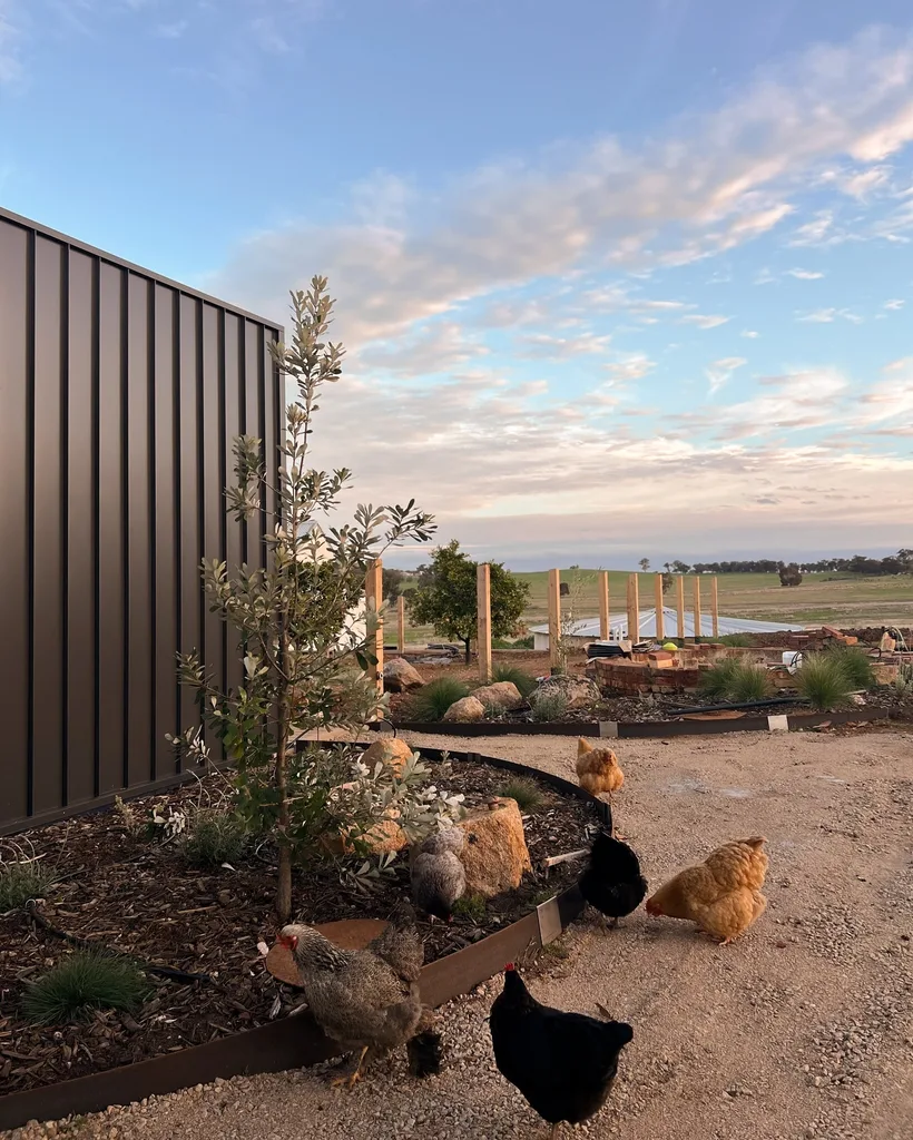 Josh and Jenna Rutherglen homestead landscaping