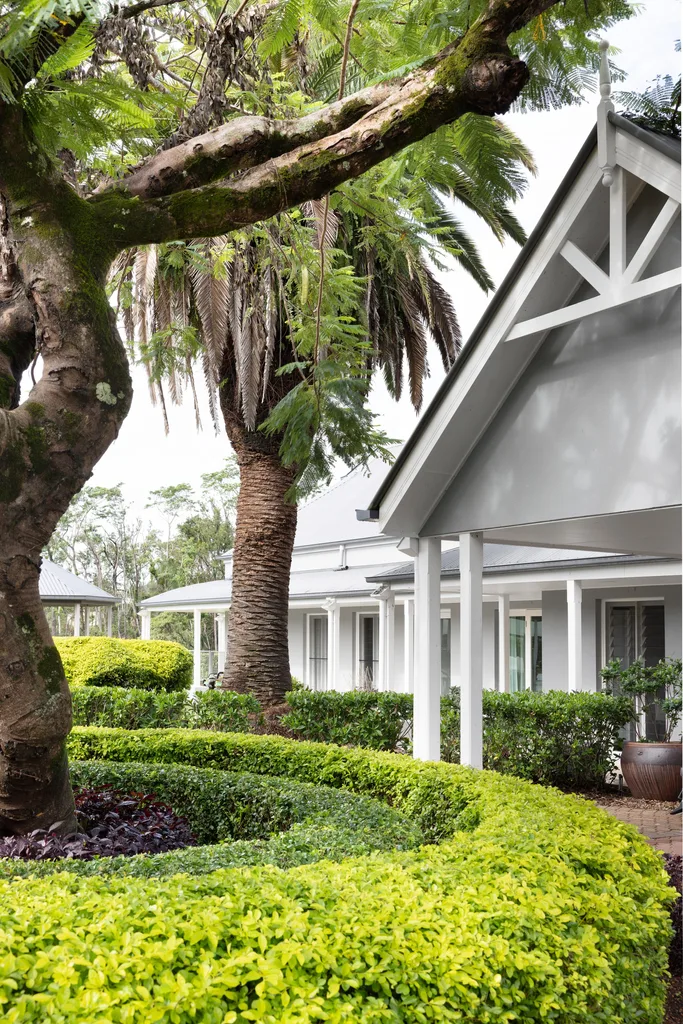 A country garden with trimmed round hedges and trees.