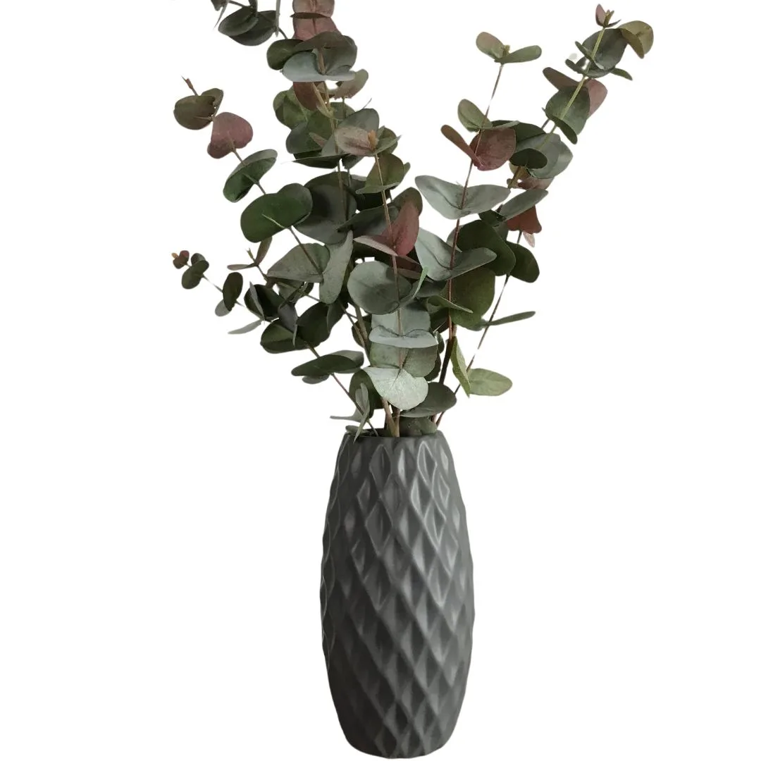 Eucalyptus leaves. 