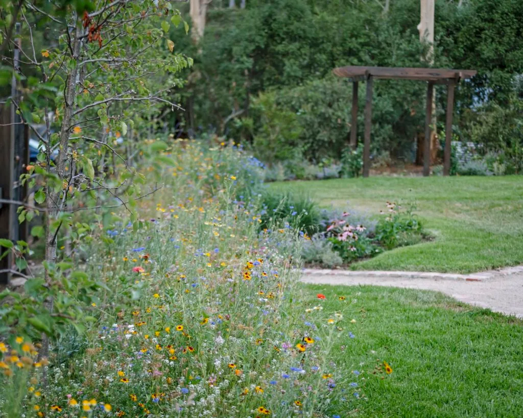 Beds of delicate wildflowers near a garden path.