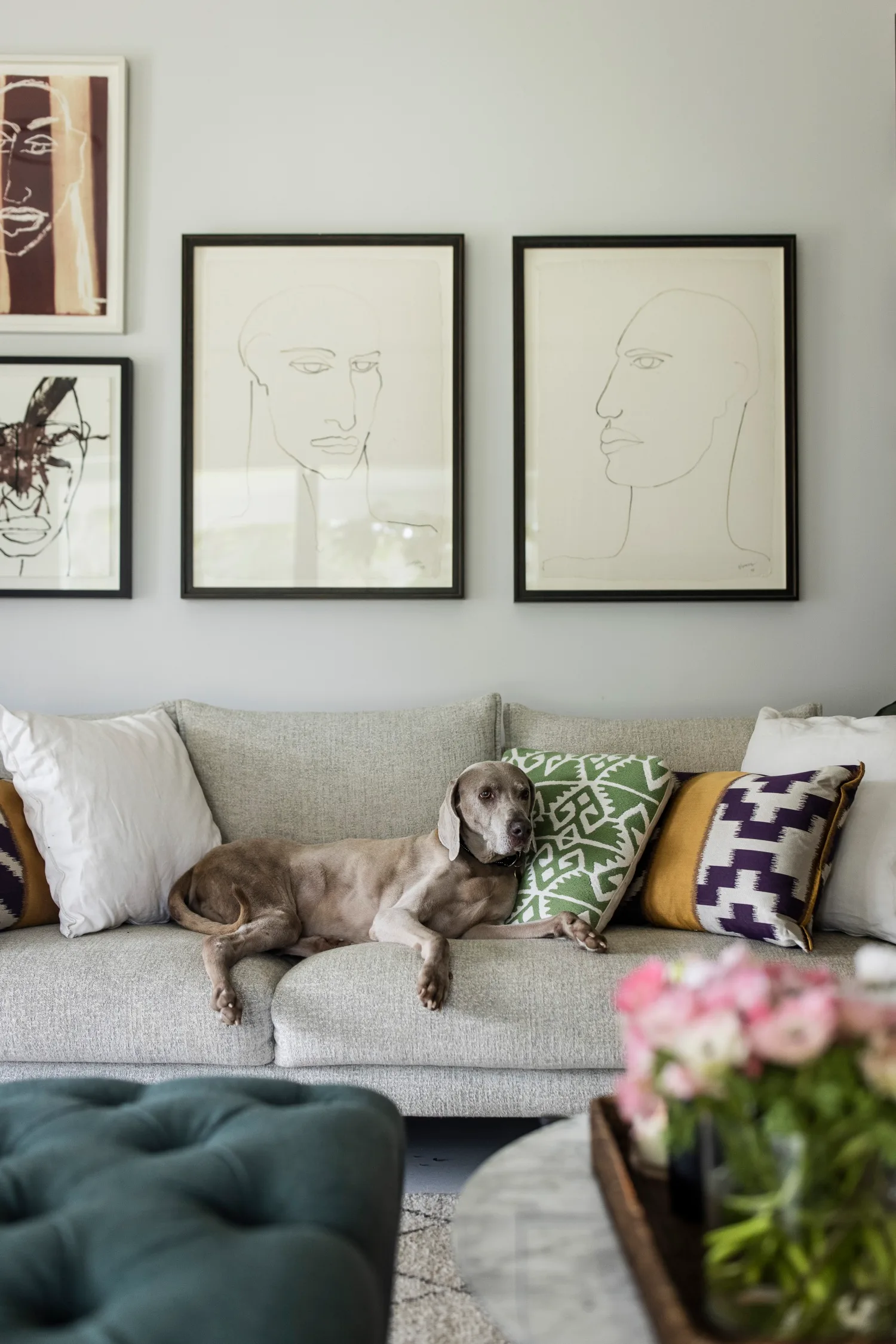 Neale Whitaker's Berry home lounge room with dog