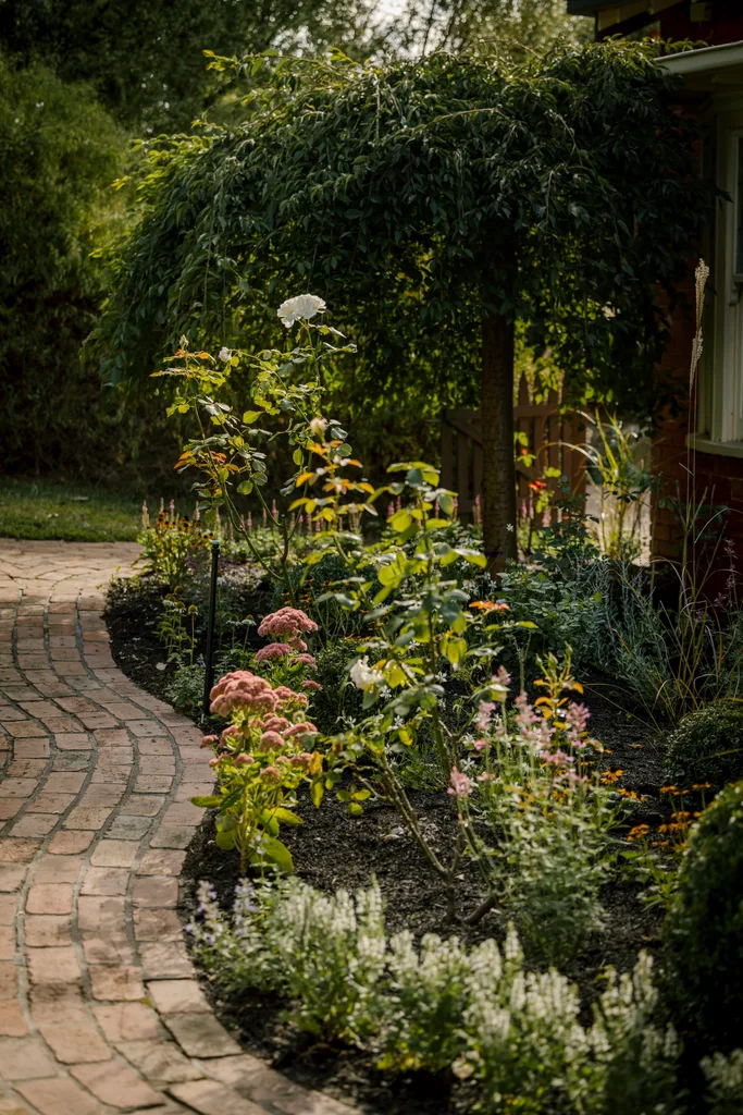 The new rose garden at the home. 
