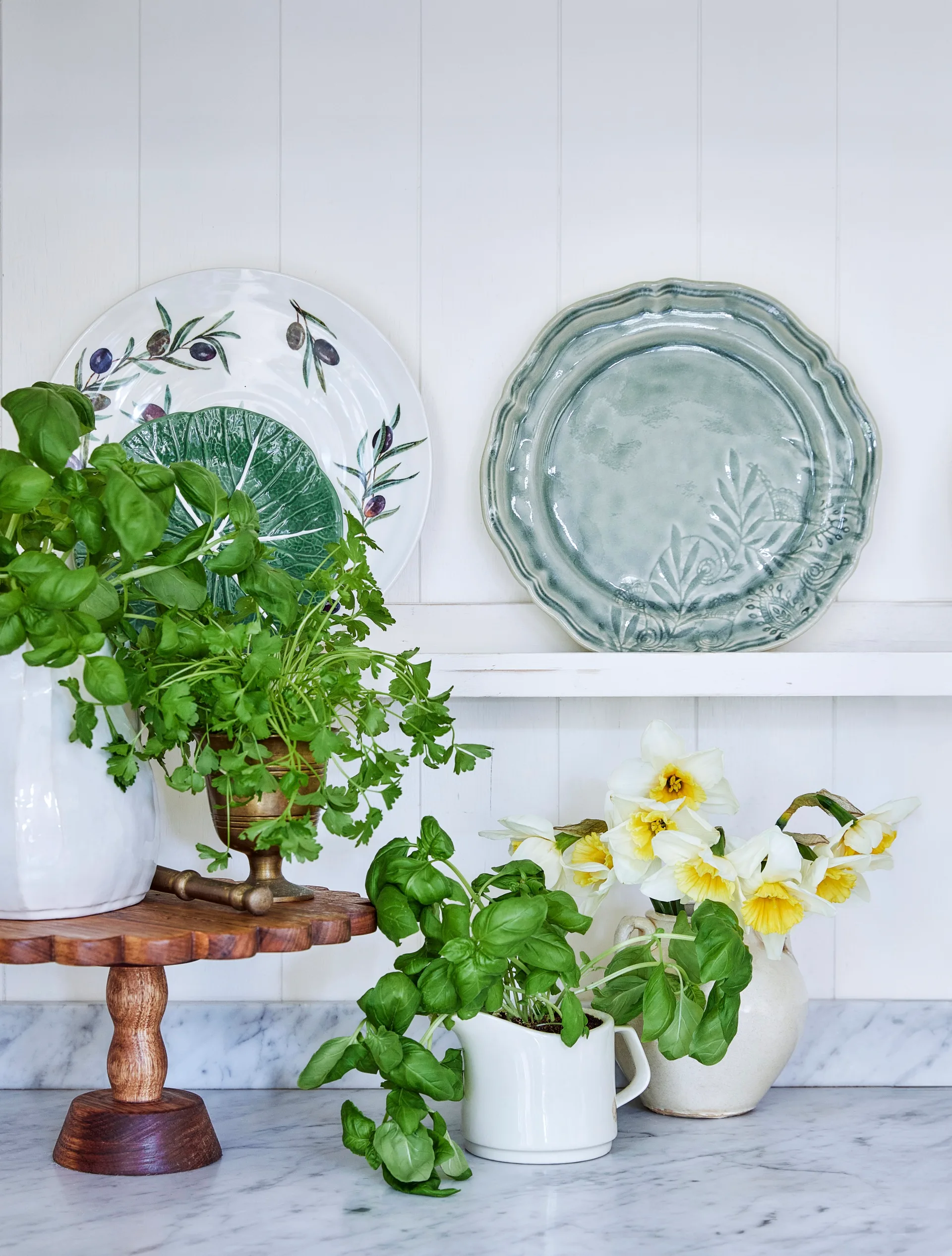 A marble benchtop in a kitchen, with decorative cabbageware plates on an open shelf and leafy green herbs overflowing from vases