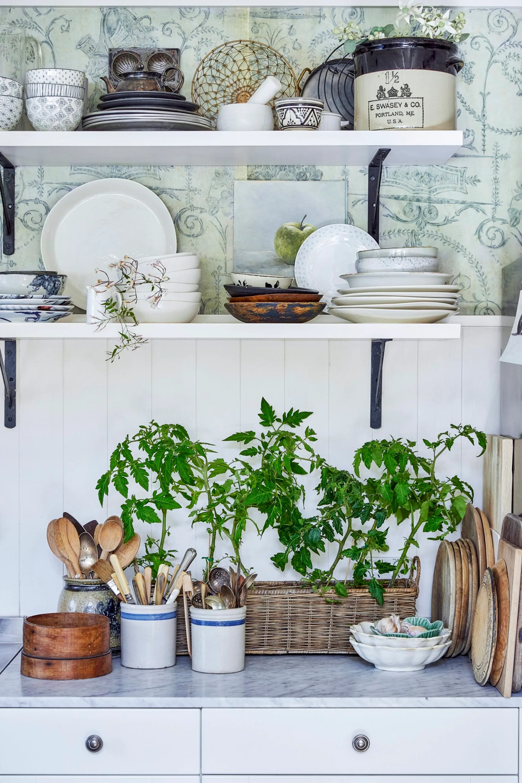 A garden inspired kitchen has white walls, cool-toned wallpaper and lots of leafy green plants growing out of a basket on the kitchen benchtop