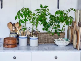 The kitchen garden is our favourite whimsical decorating trend of 2026