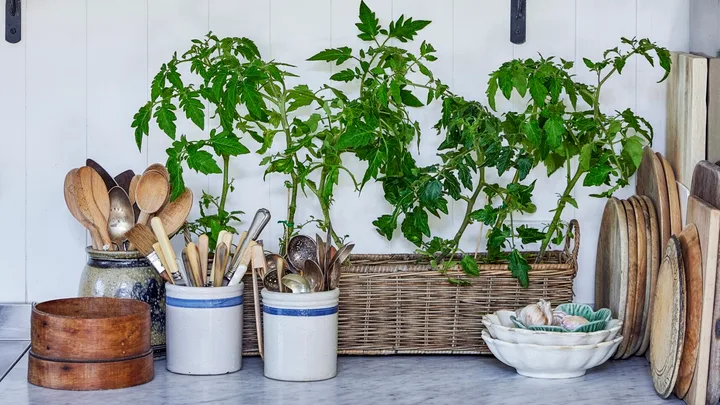 The kitchen garden is our favourite whimsical decorating trend of 2026
