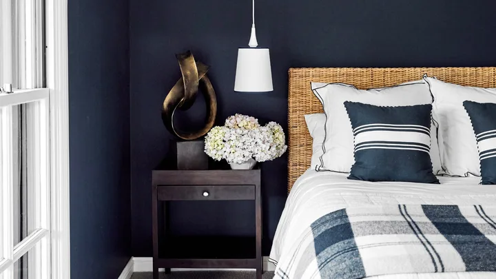 How to bring the ‘unexpected blue theory’ trend into your home