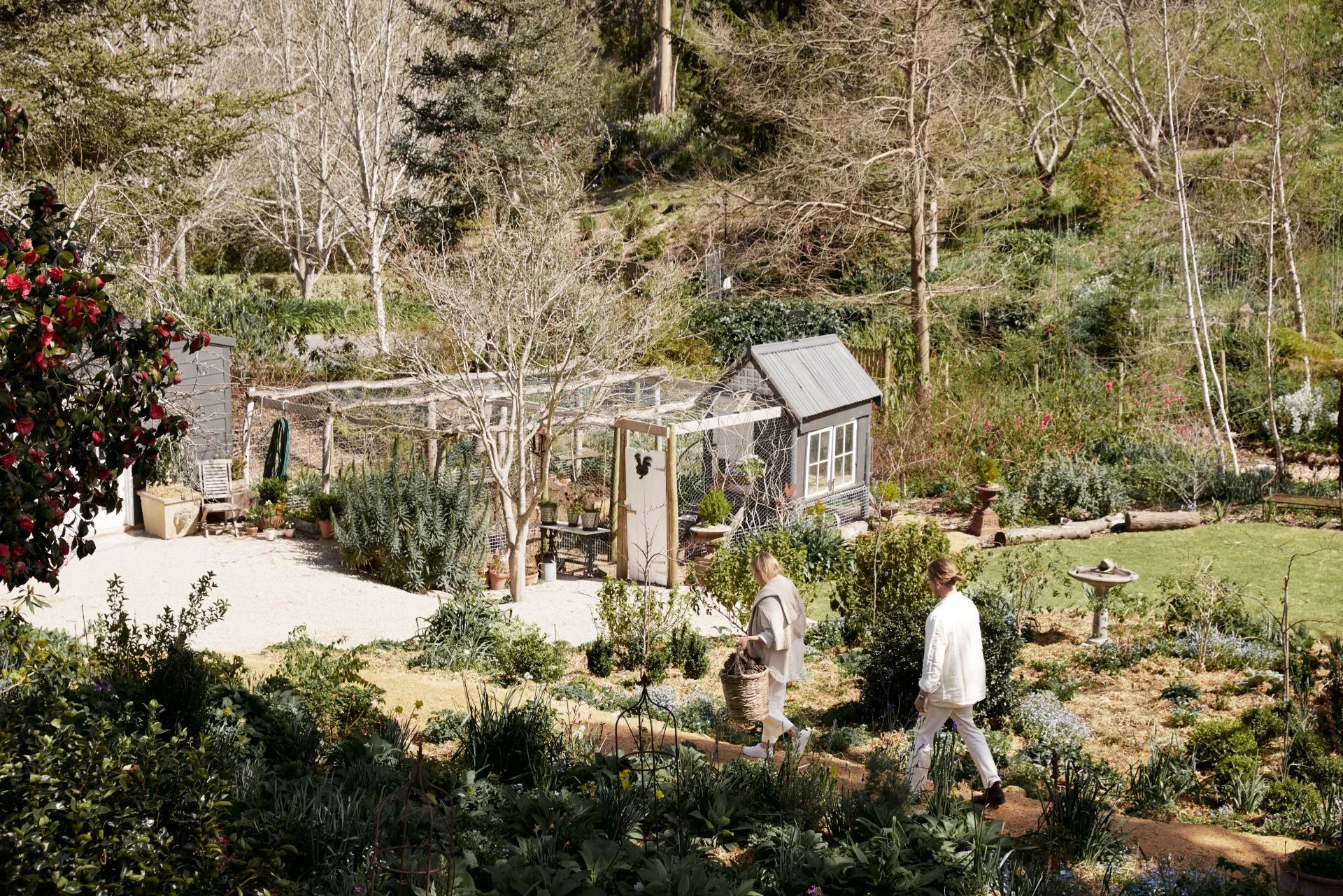 Florists collect foliage in the garden. 