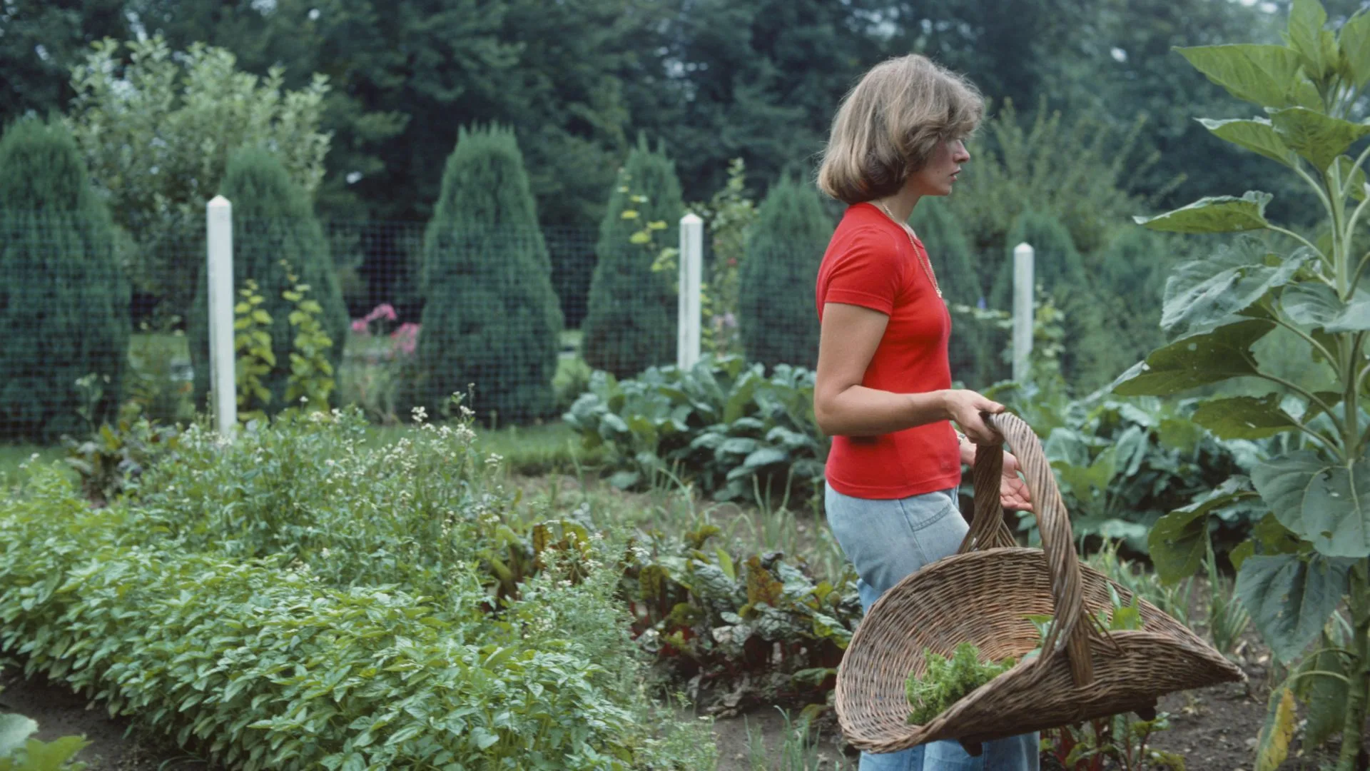 Martha Stewart in her vegetable garden at Turkey Hill in 1976.