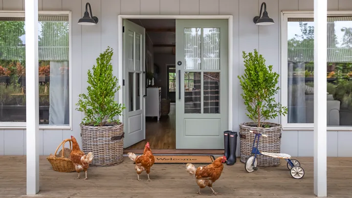 A modern farmhouse with chickens outside.