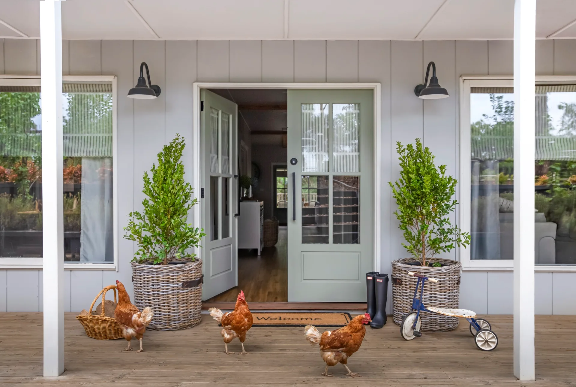 A modern farmhouse with pet chickens outside.