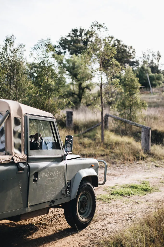 An old truck with Australian bushland surrounding it.