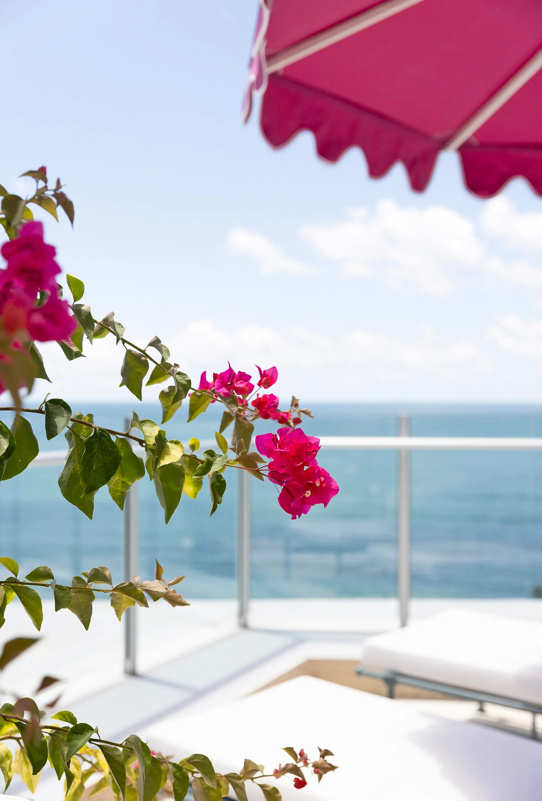 A penthouse apartment balcony with ocean views and a pink flowering plant.