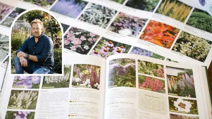 Garden design series: A step-by-step guide to planning your dream garden