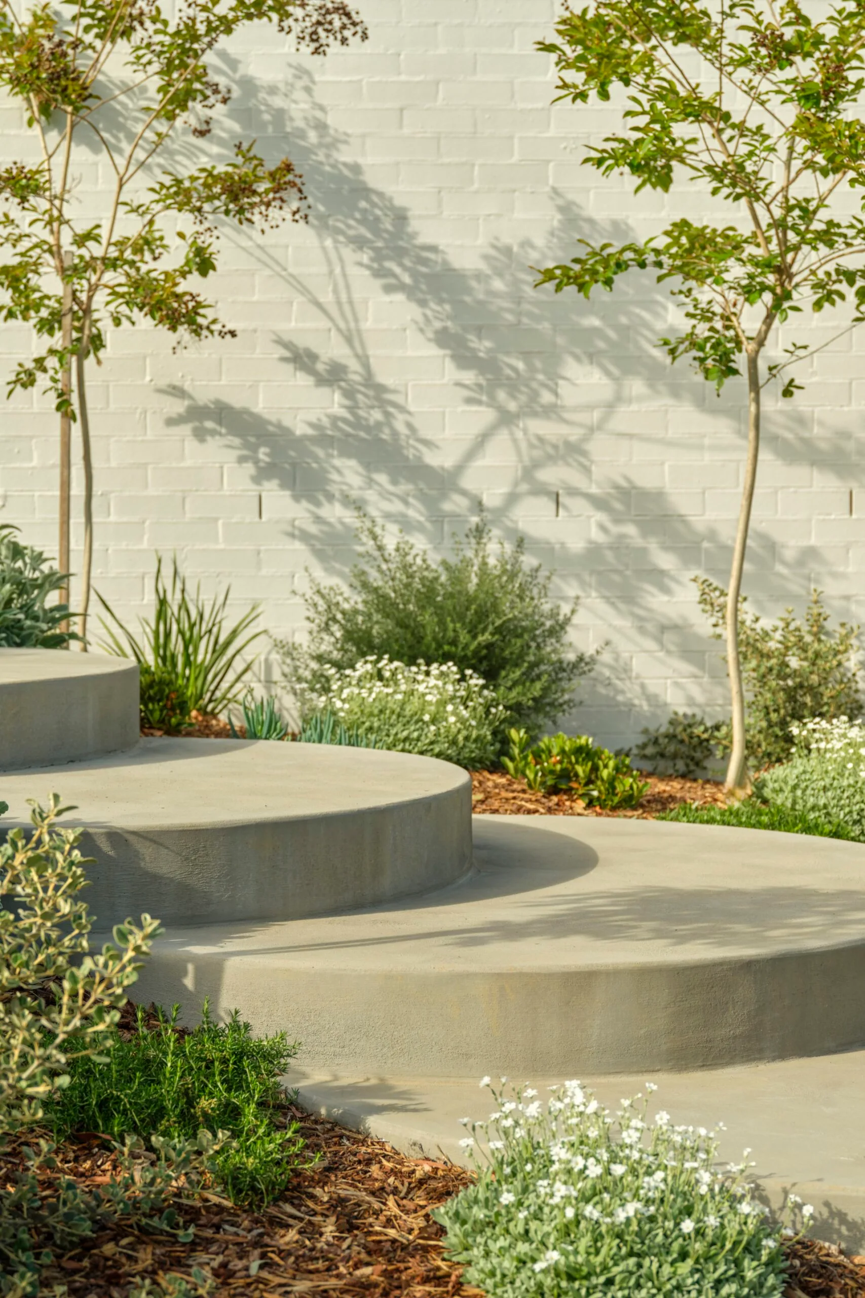 Canberra steps in the garden. 