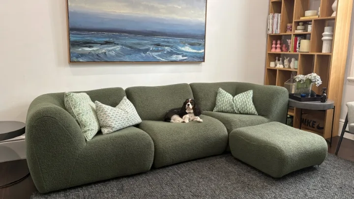 King Living 1977 sofa review in Mangrove colour with dog