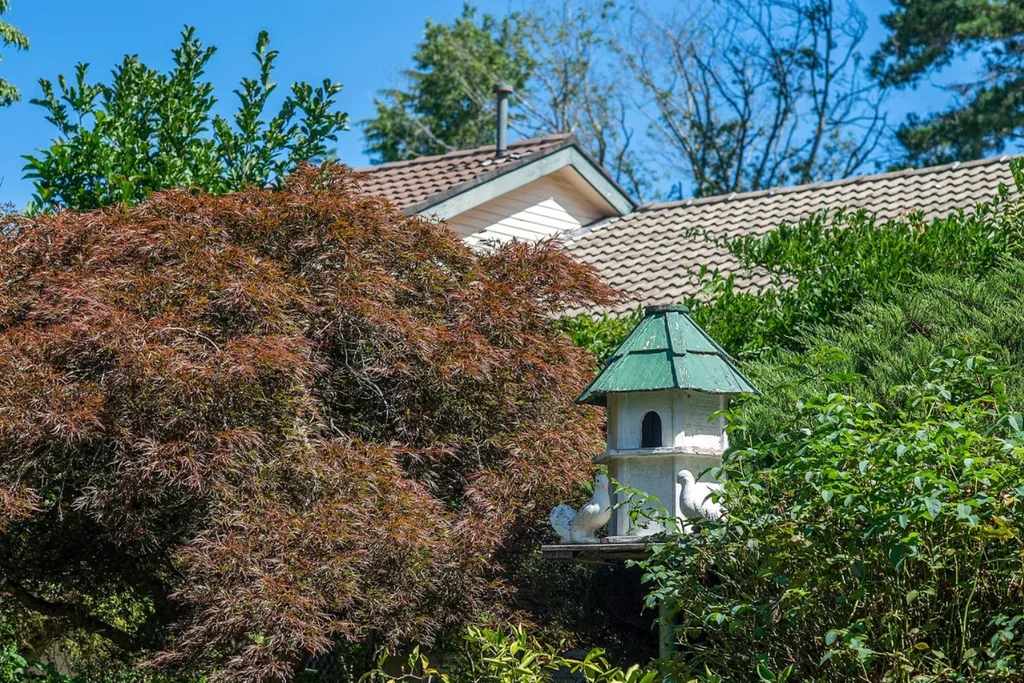 Samantha Armytage Moss Vale home renovation birdhouse
