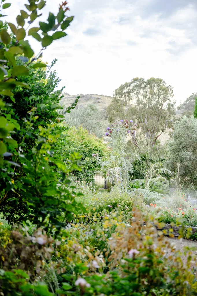 A cottage garden surrounded by hills and eucalyptus trees
