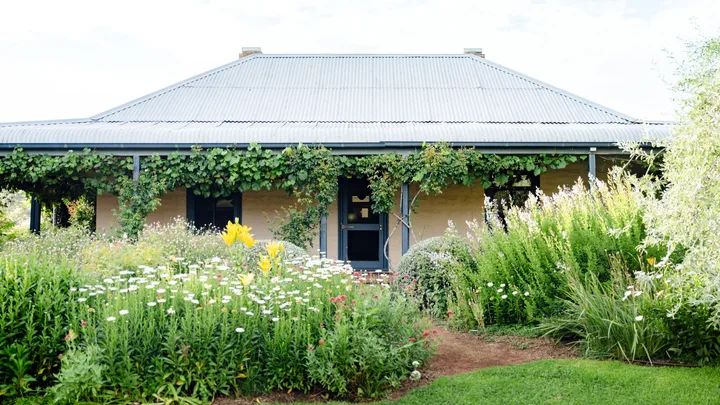 An Australian cottage in rural NSW, with blue veranda posts, a blue front door and blue roof. Wisteria grows from the veranda with a flowering garden out the front.
