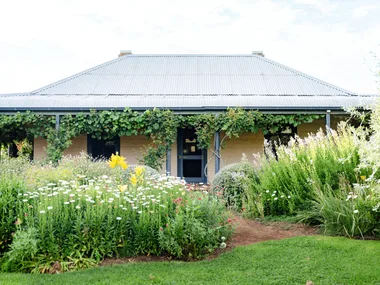 An Australian cottage in rural NSW, with blue veranda posts, a blue front door and blue roof. Wisteria grows from the veranda with a flowering garden out the front.