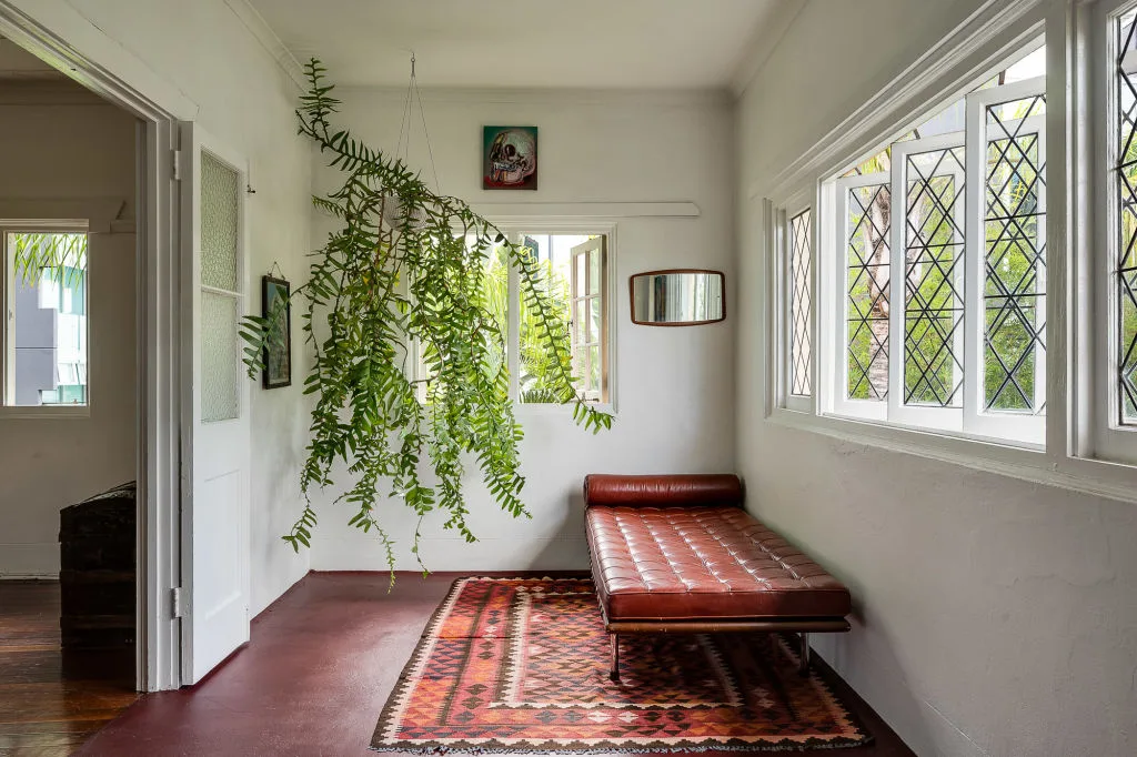 A day bed next to windows and a hanging fern in Meg Washington's apartment