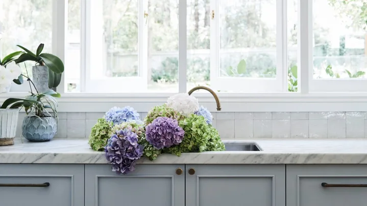 alexandra nea's kitchen sink with grey joinery, pendant lights, a carrara marble benchtop and hydrangeas