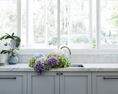 alexandra nea's kitchen sink with grey joinery, pendant lights, a carrara marble benchtop and hydrangeas