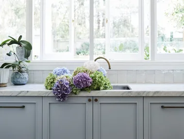 alexandra nea's kitchen sink with grey joinery, pendant lights, a carrara marble benchtop and hydrangeas