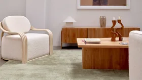 Why an at-home carpet cleaner is your best bet for fresh, vibrant carpets