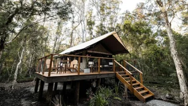 Paperbark Camp,