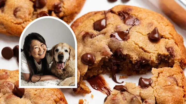 RecipeTin Eats Chocolate Chip Cookies with Nagi and Dozer inset