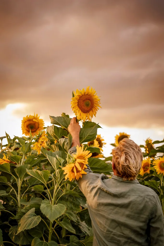 Ashley James country cottage garden.