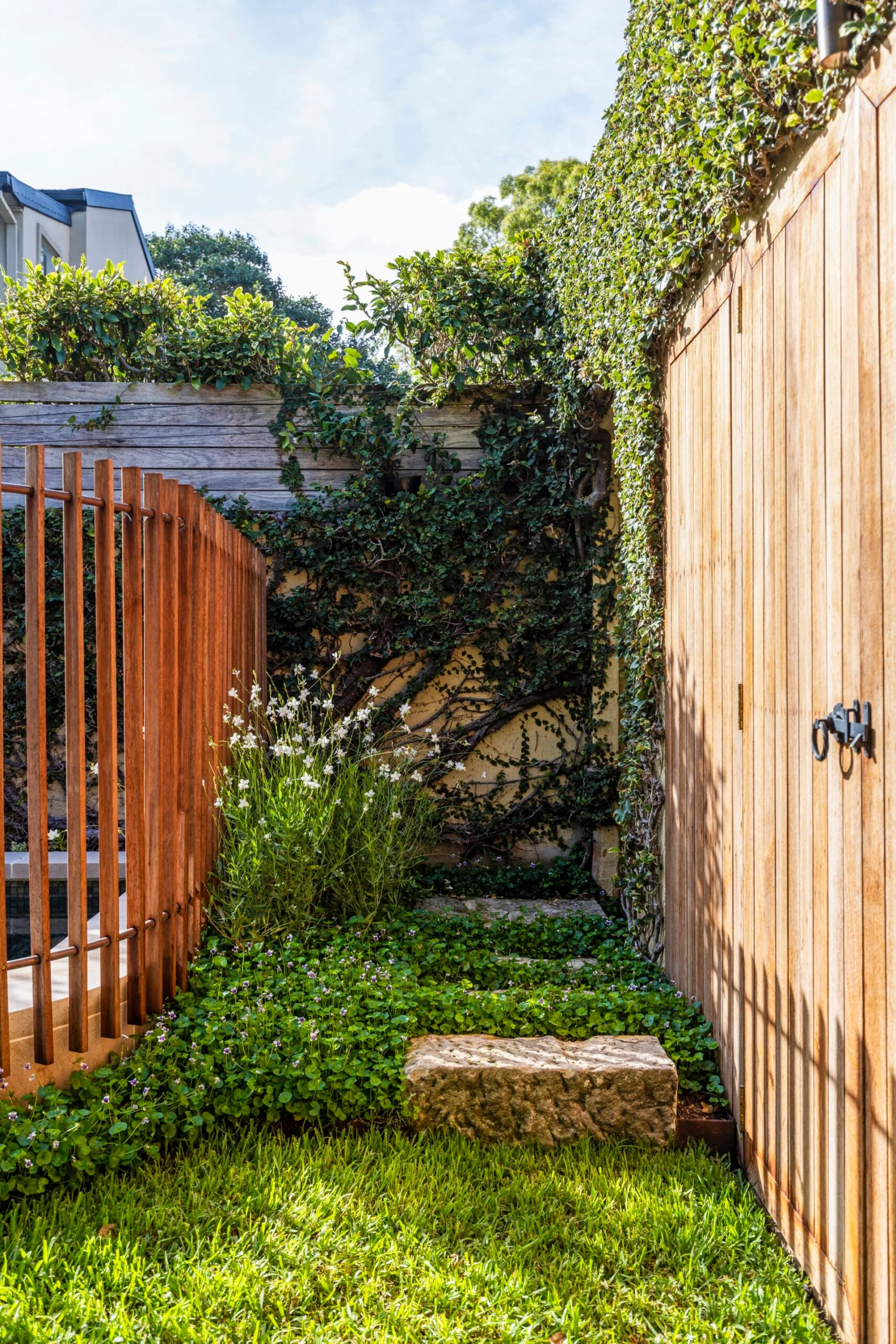 A timber wall and pool fence in a garden in Glebe. 
