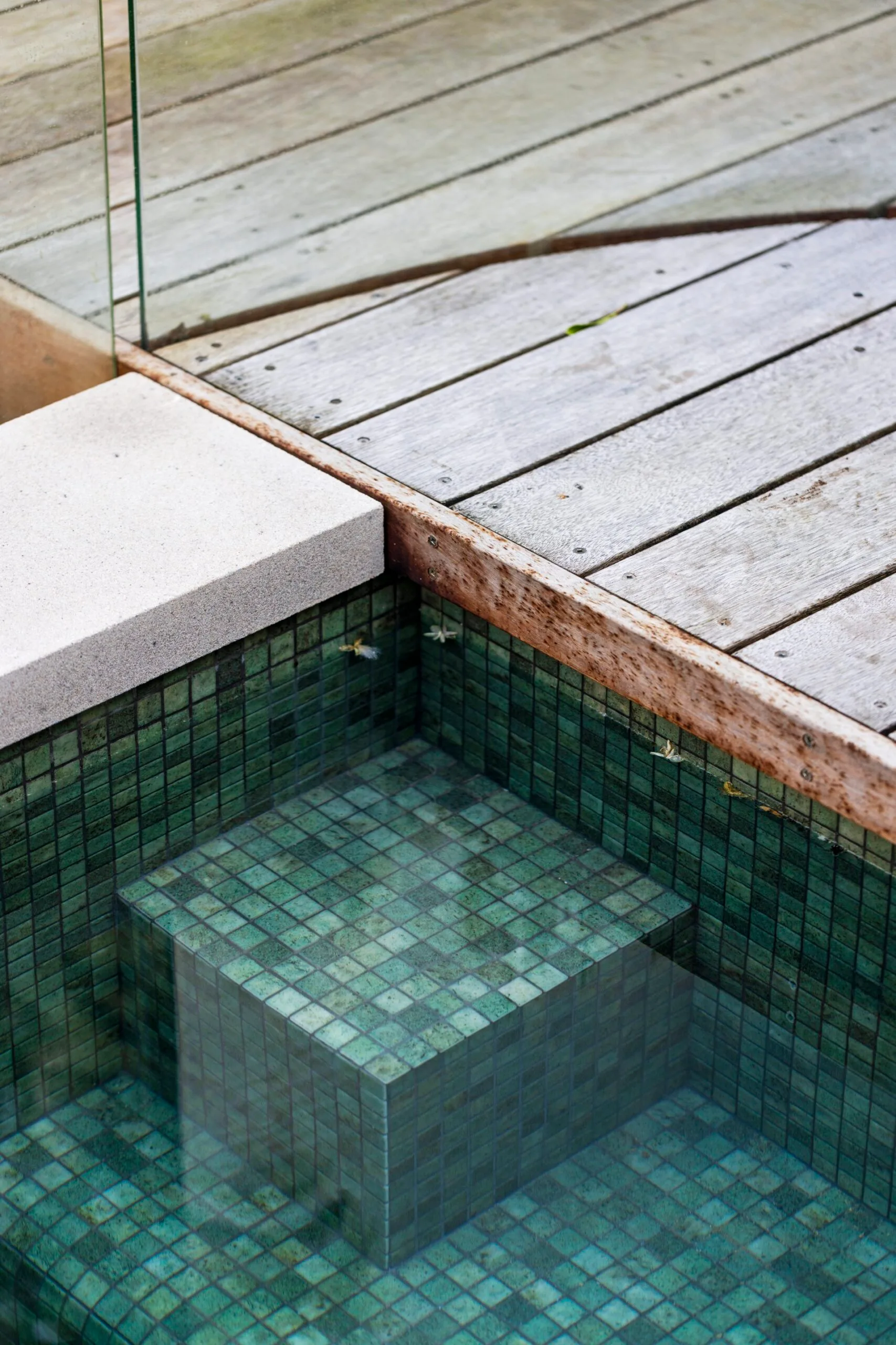 Tiles in a pool in Glebe. 