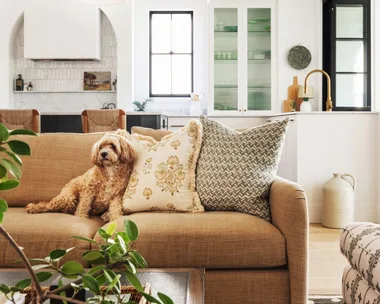 An open plan kitchen and living room. A dog sits on the neutral toned couch. The space is primarily black and white, with warm tones in the living room seats.