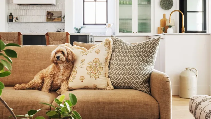 An open plan kitchen and living room. A dog sits on the neutral toned couch. The space is primarily black and white, with warm tones in the living room seats.