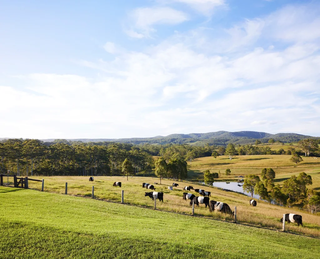 Timber family home overlooks a green paddock.