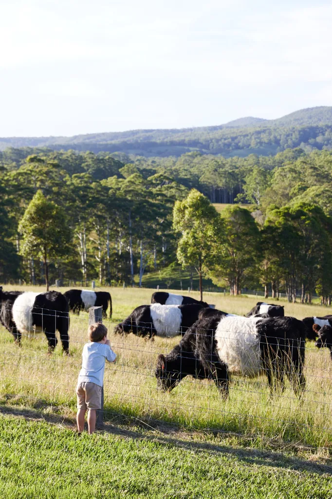 Open shower with timber ceiling, square handmade tiles a brass rain shower and glass blade with heated towel rail.
