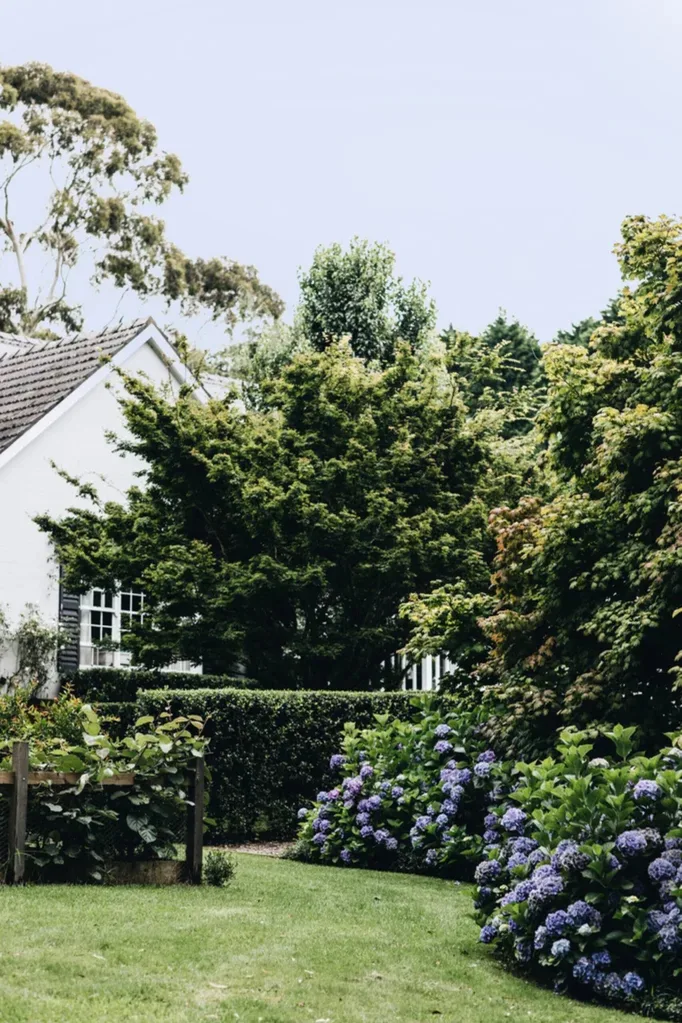 Melinda Hartwright garden Abbie Melle