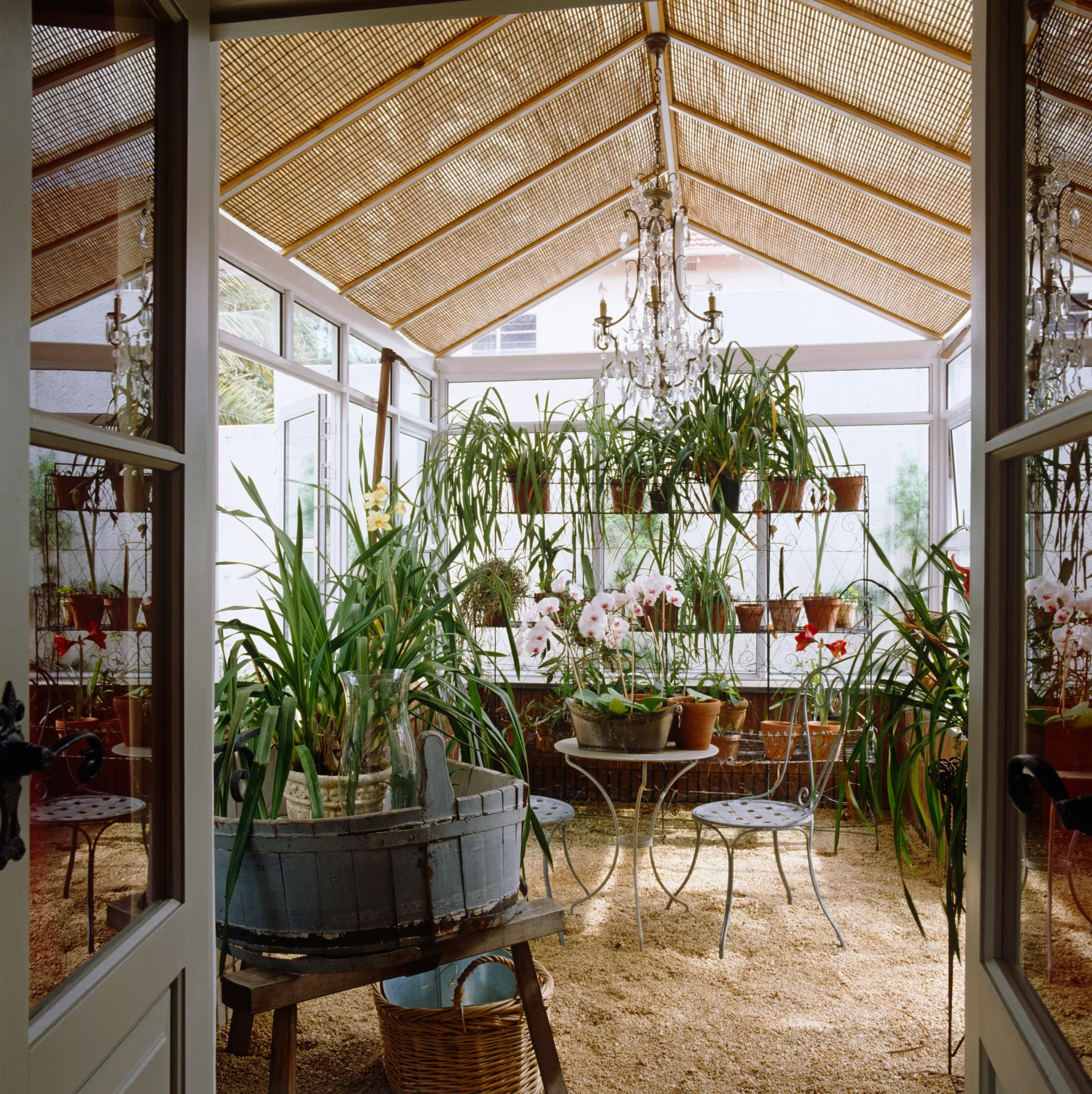 The glass roof of the conservatory has blinds to protect the plethora of pot plants from the full force of the sun.