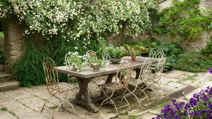 A courtyard garden with a rustic dining table and climbing plants.
