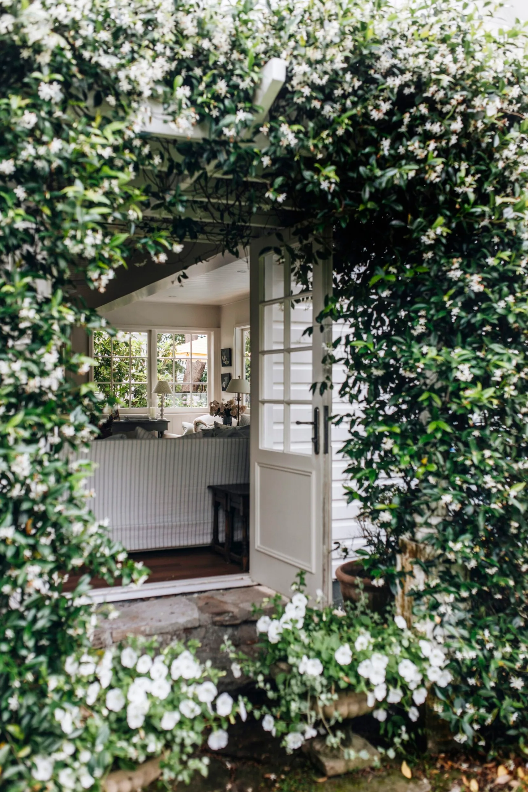 A jasmine-cloaked archway that leads into the home. 