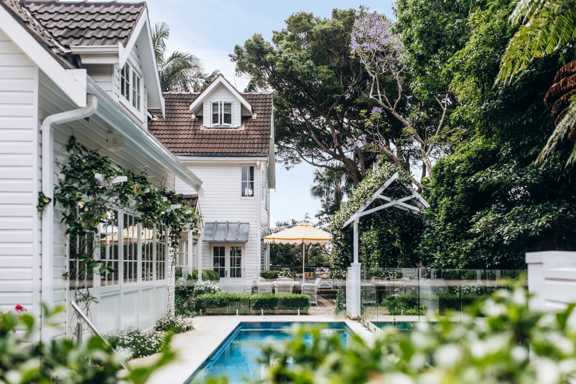 A tropical alfresco area with a pool and climbing vines. 