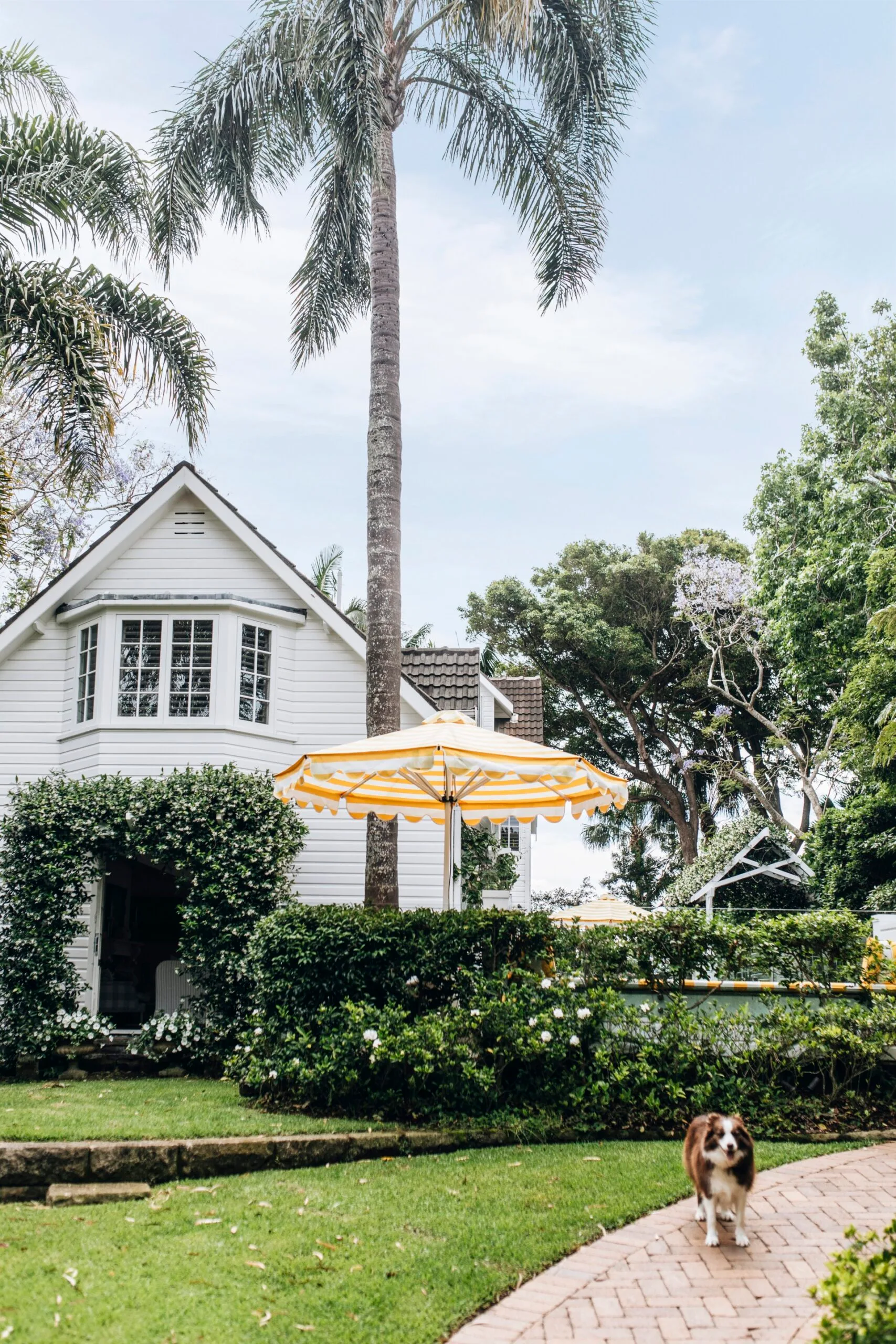 A tropical entrance to a Nantucket style home in Palm Beach.