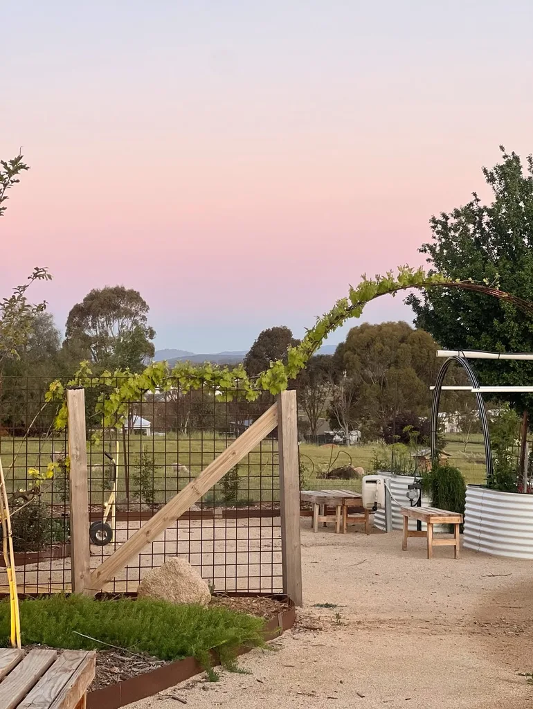 Josh and Jenna’s Rutherglen Homestead revival