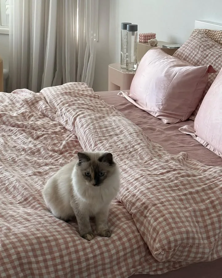 Tammy Hembrow house on the Gold Coast bed with cat