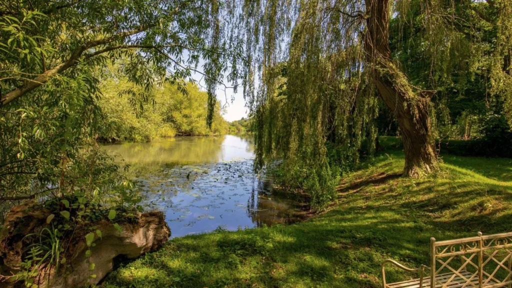 The countryside around Tim Burton's Oxfordshire home.