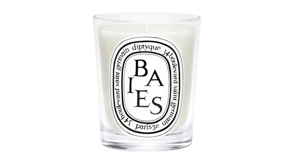 Diptyque luxury candle in scent 'Baies'